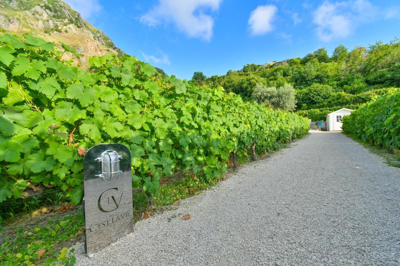 Tenuta C'Est La Vie Forio di Ischia Exterior foto