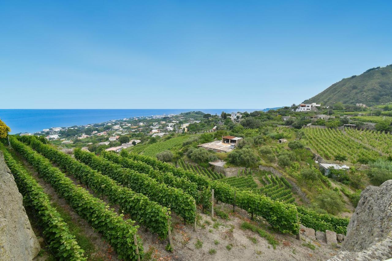 Tenuta C'Est La Vie Forio di Ischia Exterior foto